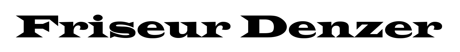Denzer Logo